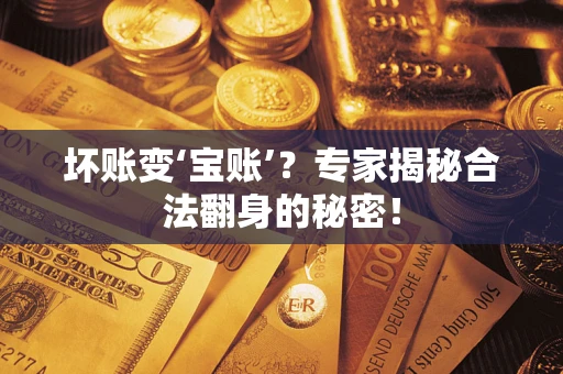 北京坏账变‘宝账’？专家揭秘合法翻身的秘密！