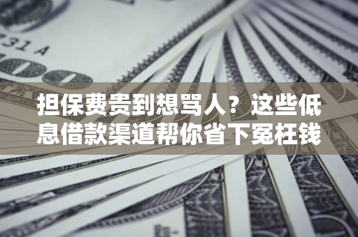 北京担保费贵到想骂人？这些低息借款渠道帮你省下冤枉钱