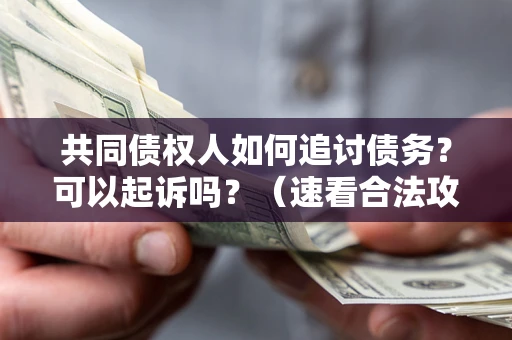北京共同债权人如何追讨债务？可以起诉吗？（速看合法攻略）